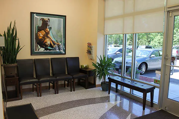 Pet Dermatology Clinic 3