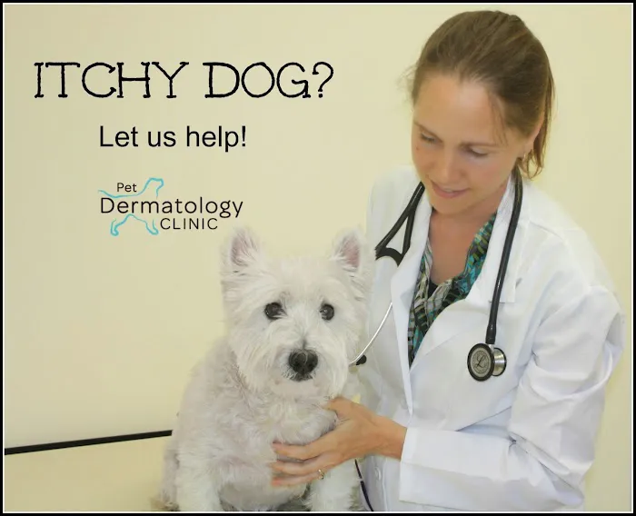 Pet Dermatology Clinic 9