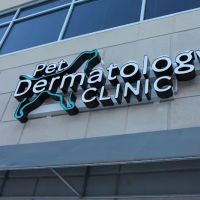 Pet Dermatology Clinic ico
