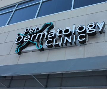 Pet Dermatology Clinic