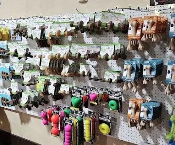 Youngblood's Natural Animal Care Center and Massage