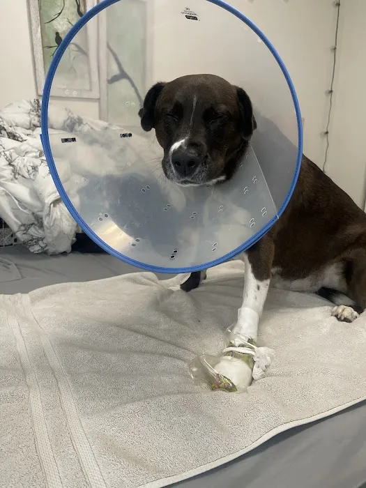 Compassionate Care Animal Hospital 3