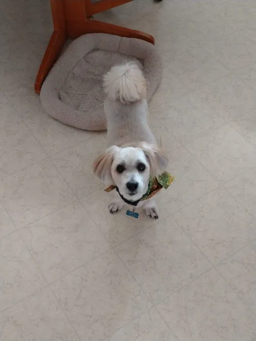 Compassionate Care Animal Hospital 4