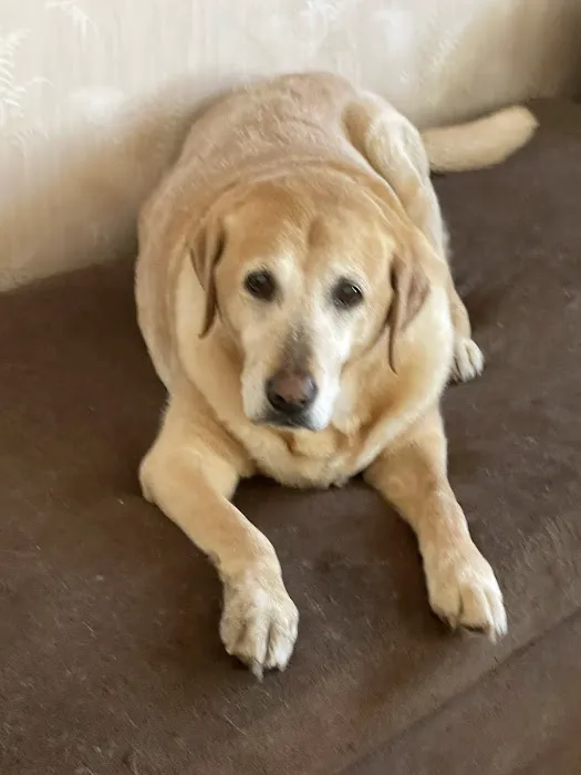 Compassionate Care Animal Hospital 2