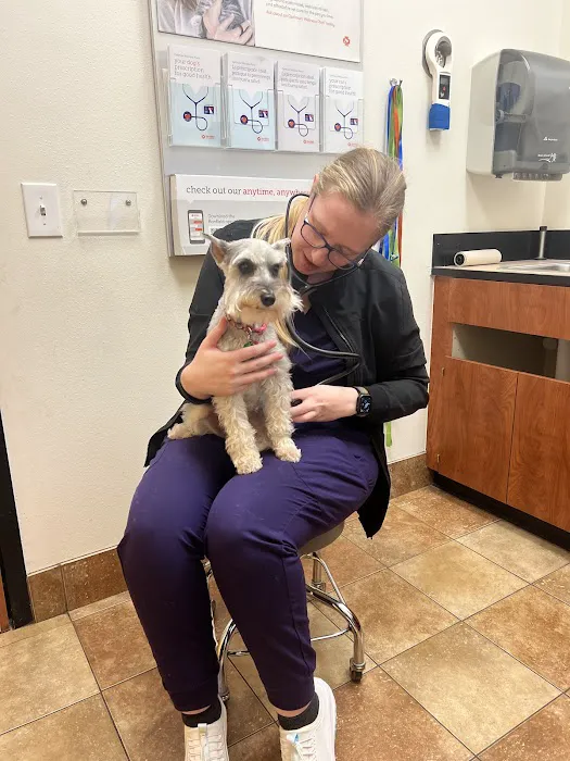 Banfield Pet Hospital 2