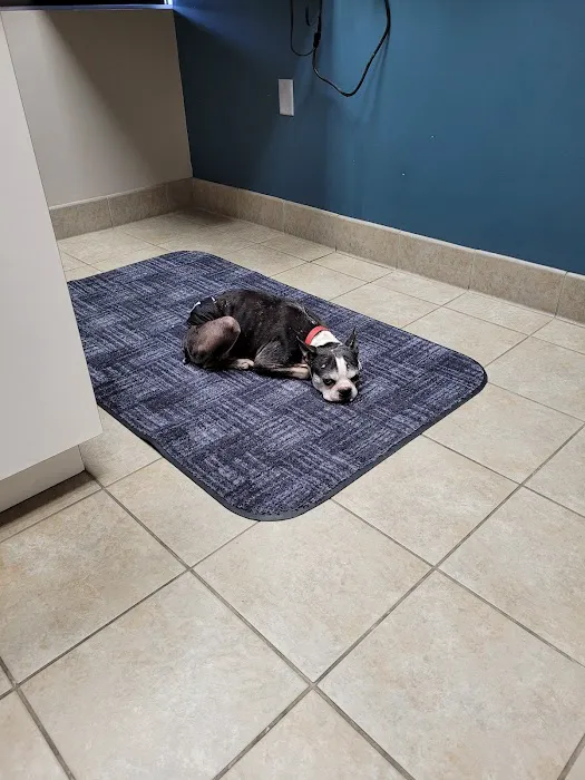 Rockford Road Animal Hospital: Morrow Chalaine DVM 1