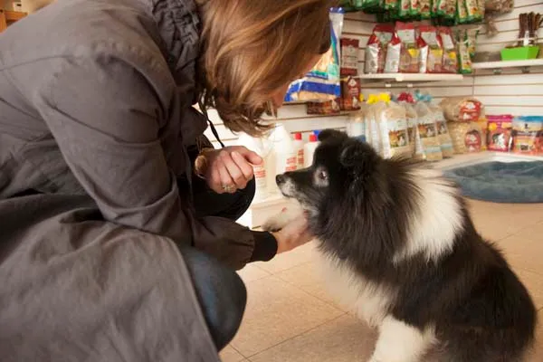 Heritage Animal Hospital of Plymouth & Maple Grove 8