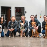 Vet Partners Plymouth ico