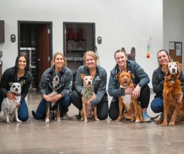 Vet Partners Plymouth