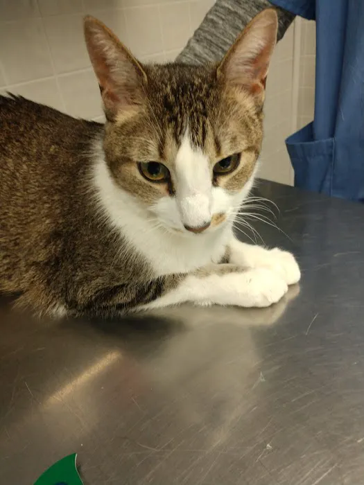 MARS Veterinary Services 5