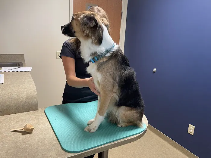Edinburgh Pet Health Center 2