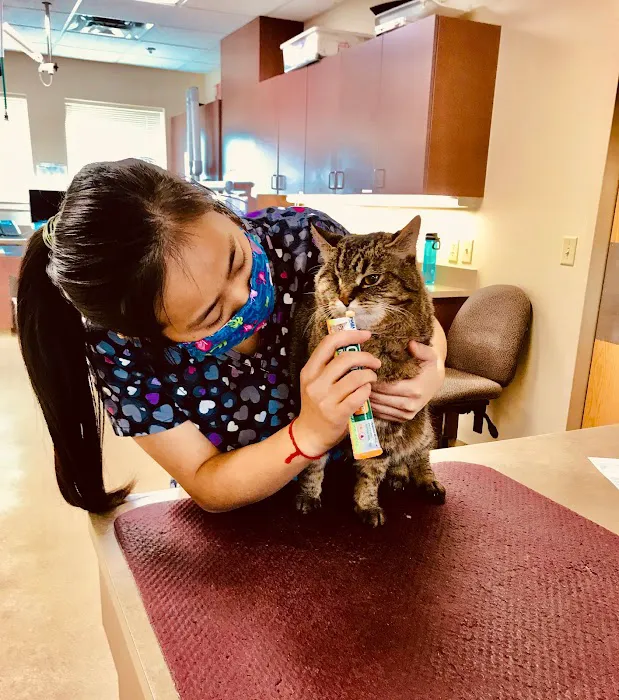 Edinburgh Pet Health Center 8