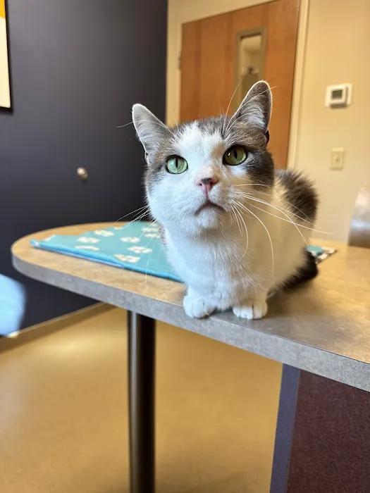 Edinburgh Pet Health Center 1