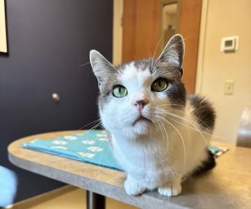 Edinburgh Pet Health Center
