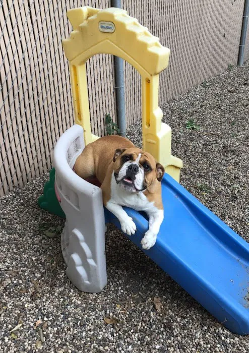 Brooklyn Park Pet Hospital 5