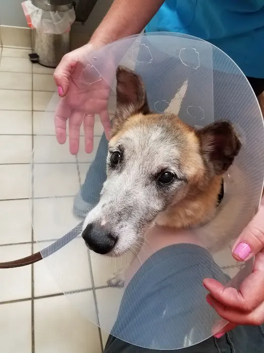 Brooklyn Park Pet Hospital 10