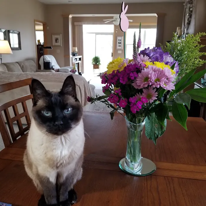 Brooklyn Park Pet Hospital 7