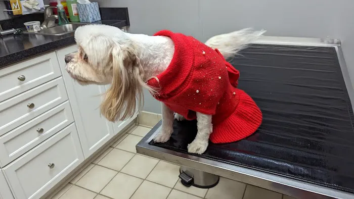 Brooklyn Park Pet Hospital 2