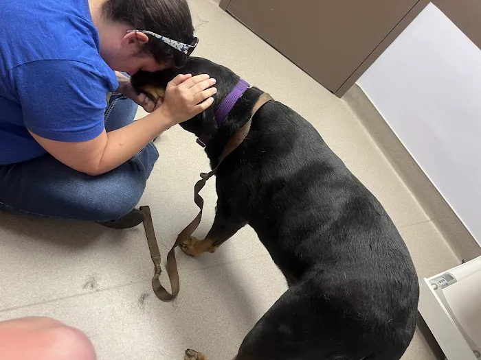 River Rapids Pet Hospital + Clinic 6