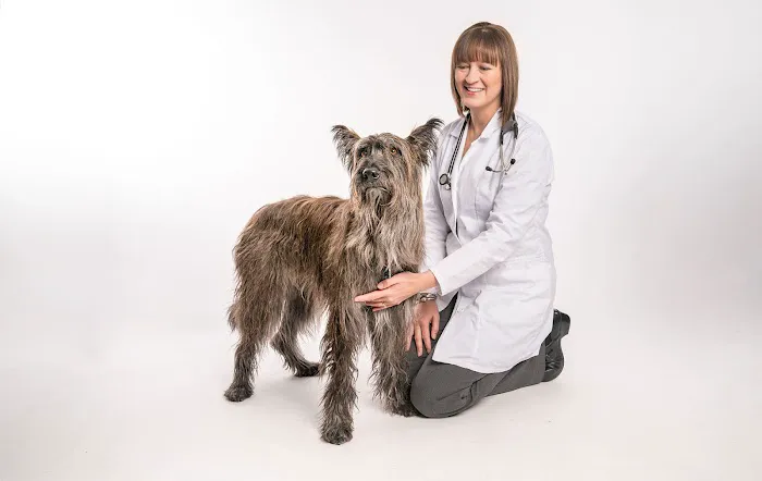 Haarstad Veterinary Dermatology 10