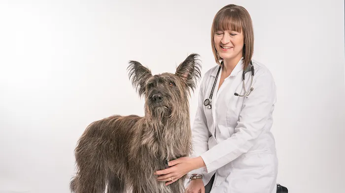 Haarstad Veterinary Dermatology 1