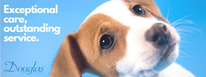 Douglas Animal Hospital 6