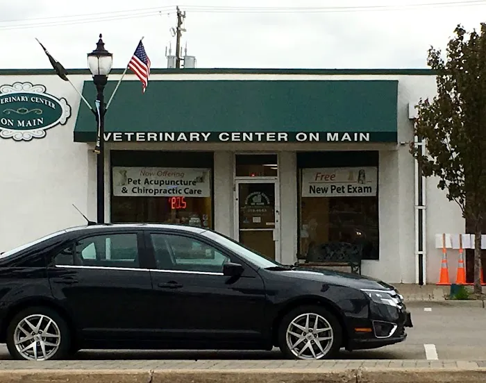 Vet Partners on Main 9