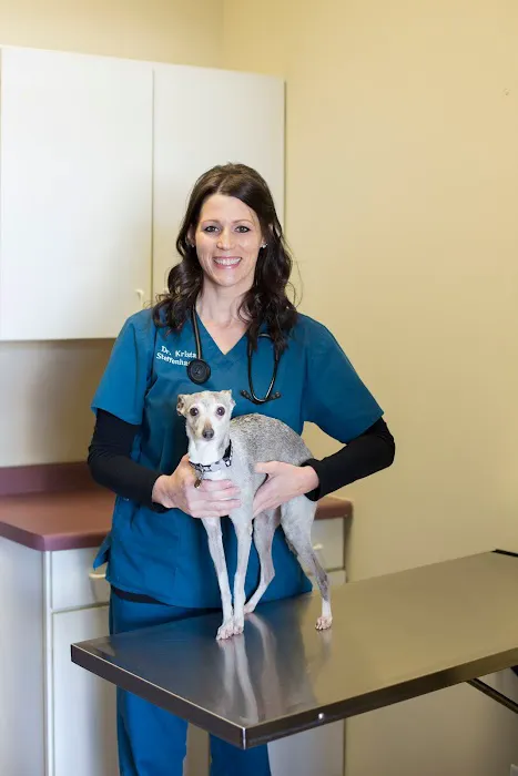 Blaine Family Veterinary Hospital 8