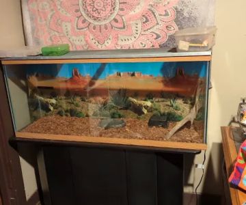 Scales N Tails Exotic Pet Supply