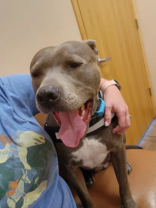 Foley Boulevard Animal Hospital 10