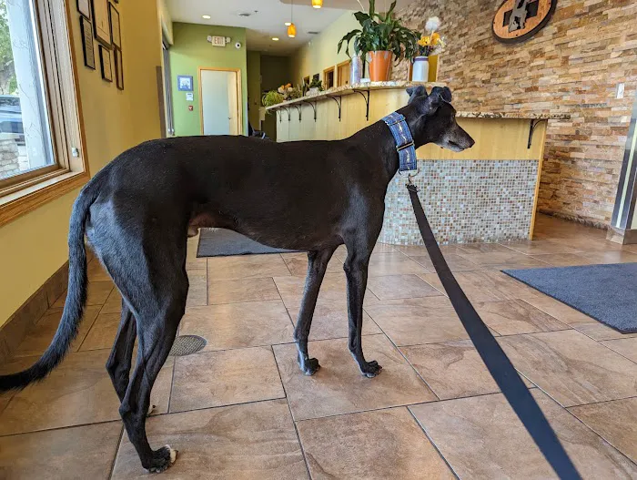Foley Boulevard Animal Hospital 8
