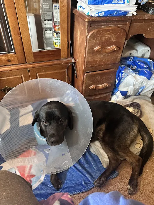 Coon Rapids Pet Hospital 1
