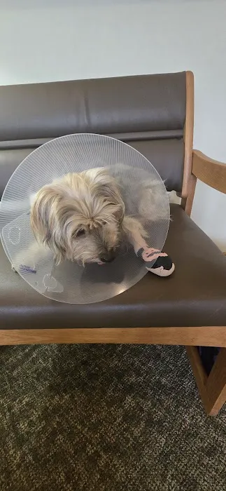 Coon Rapids Pet Hospital 5