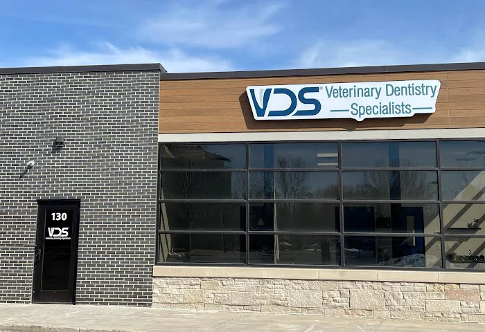 Veterinary Dentistry Specialists 12