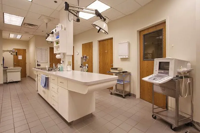 Valley Creek Road Animal Hospital 9