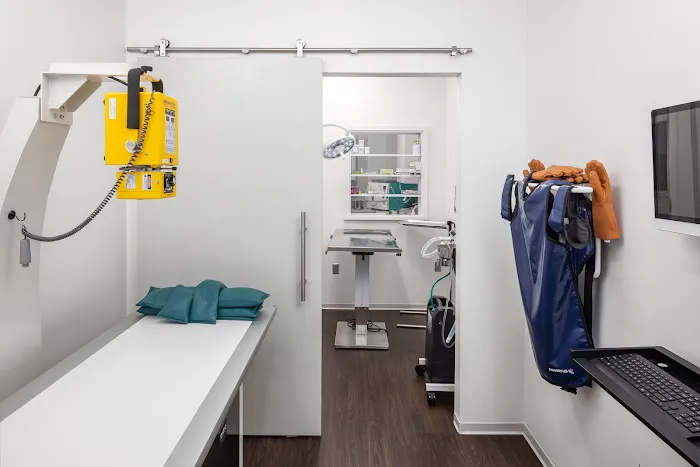 Silvervine Cat Clinic 6