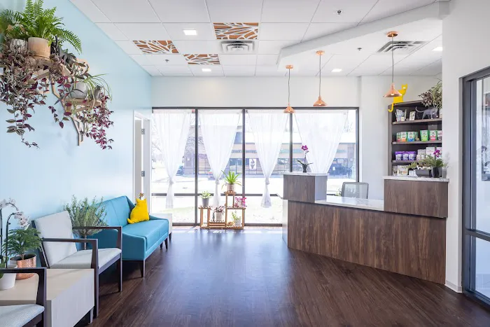 Silvervine Cat Clinic 8
