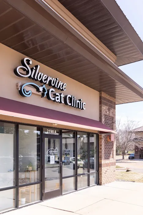 Silvervine Cat Clinic 2