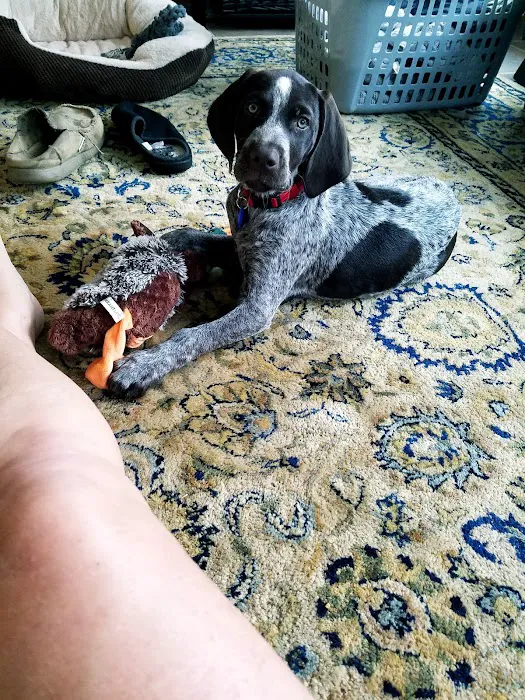 Cedar Pet Clinic 6