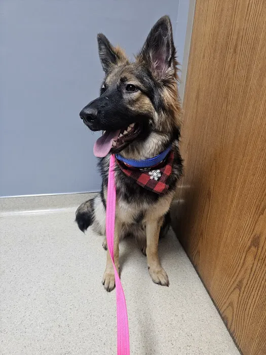 Park Grove Pet Hospital 2