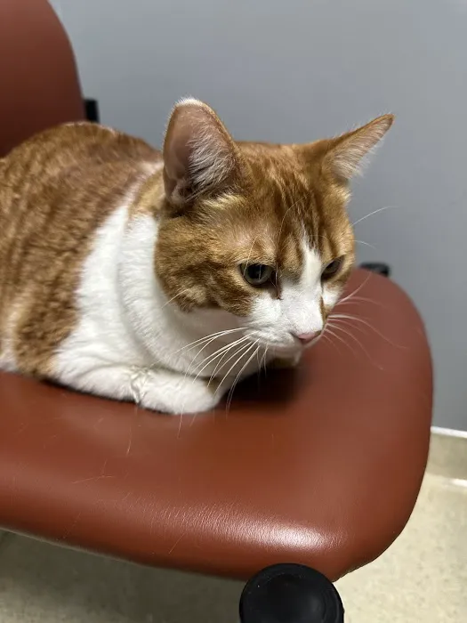 Park Grove Pet Hospital 1