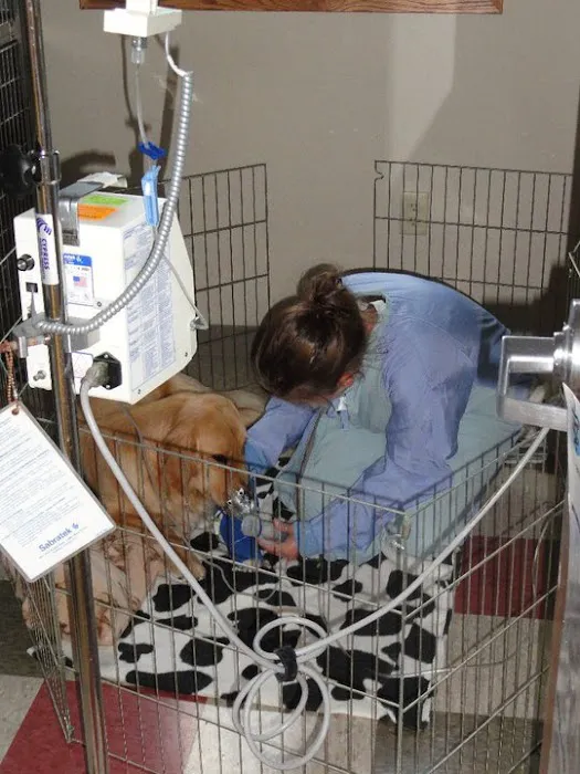 Park Grove Pet Hospital 8