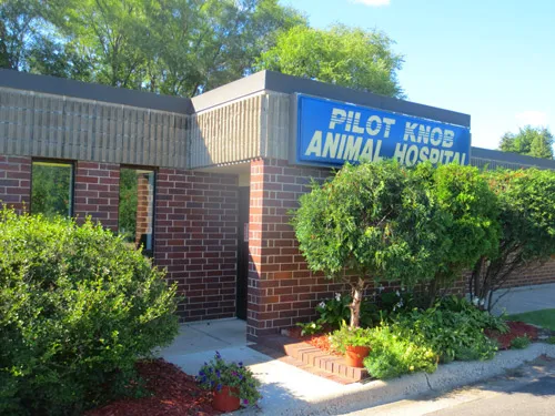 Pilot Knob Animal Hospital 1