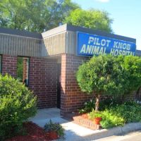 Pilot Knob Animal Hospital ico