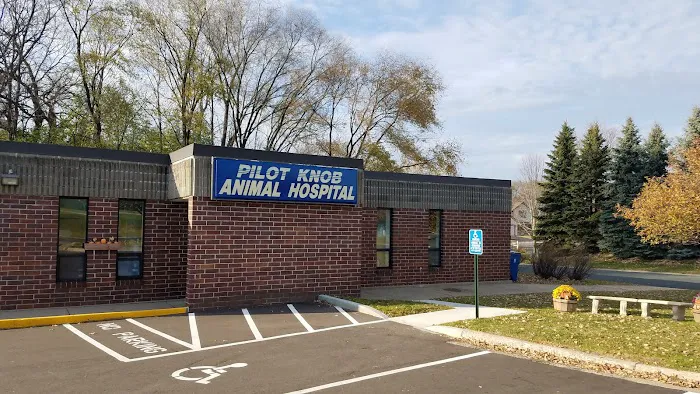 Pilot Knob Animal Hospital 5