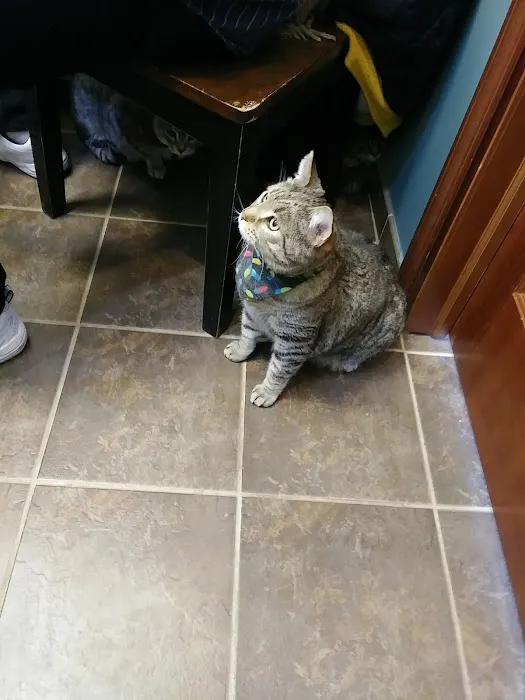 Cliff Lake Veterinary Clinic 2