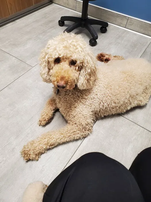 Eagan Pet Clinic 3