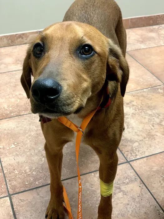 Eagan Pet Clinic 10