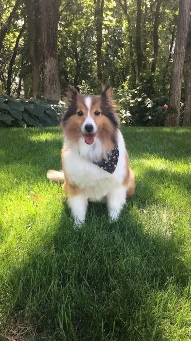 Eagan Pet Clinic 5
