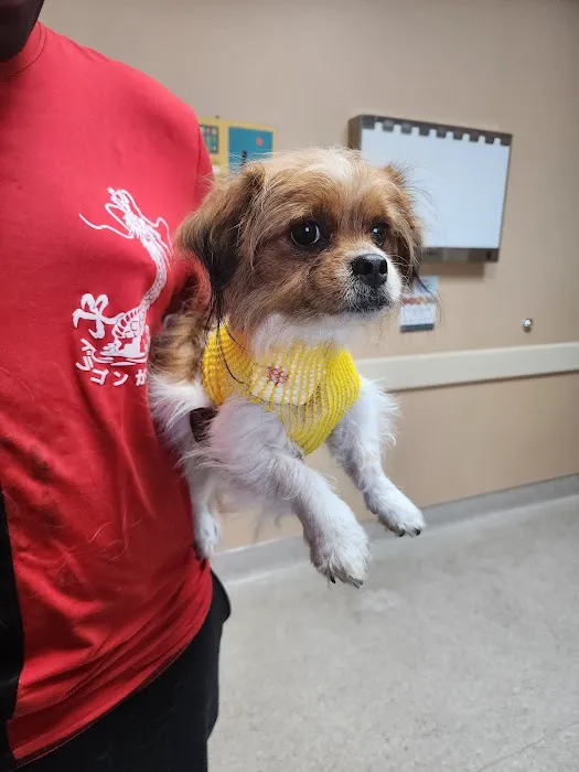 East Valley Animal Clinic 1